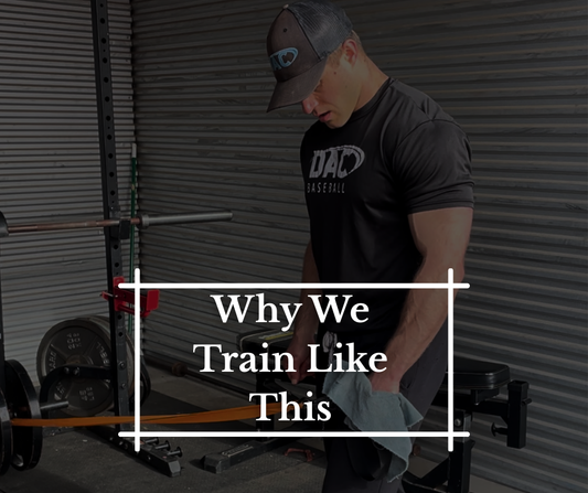 Why We Train Like This