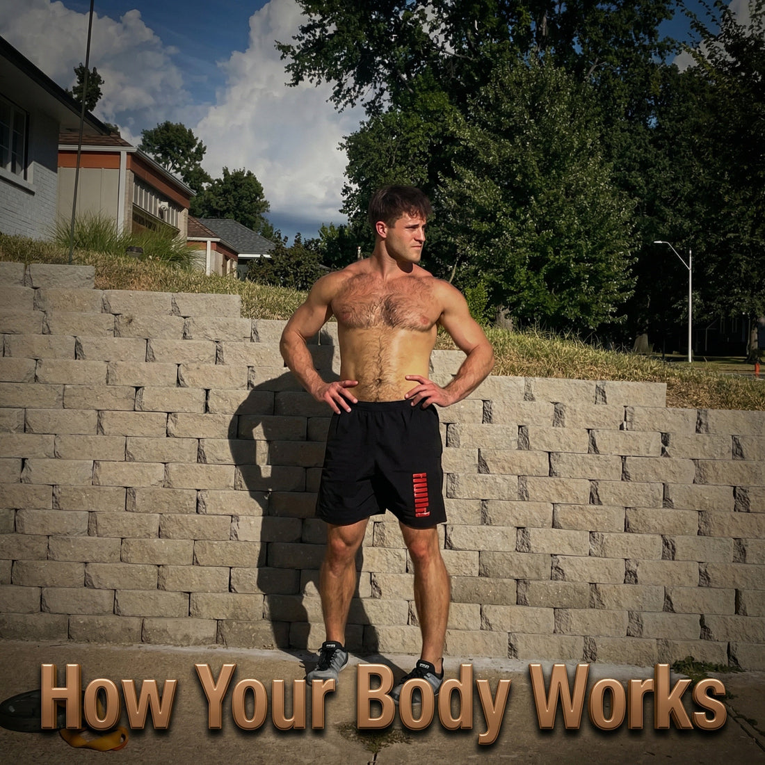 How Your Body Works