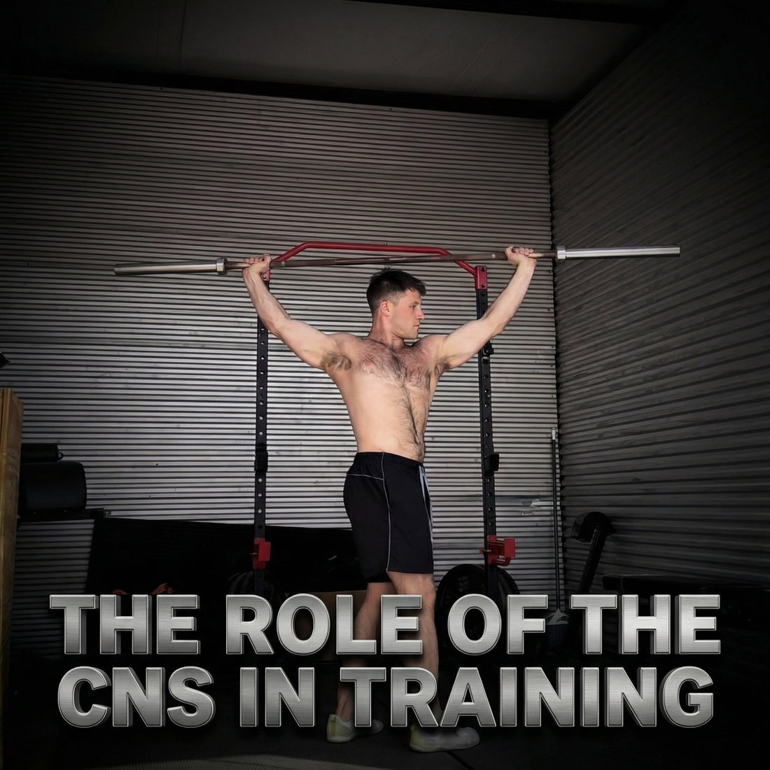 The Role Of The CNS In Training