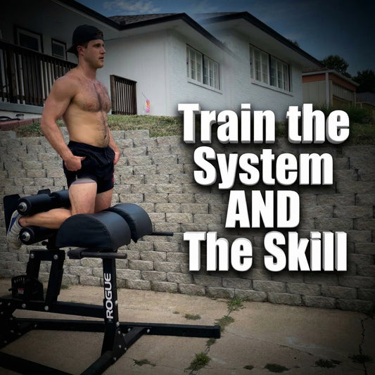 Train the System AND The Skill