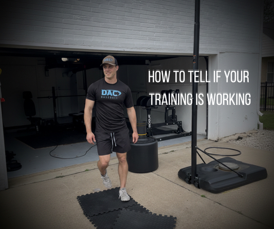 How To Tell If Your Training Is Working