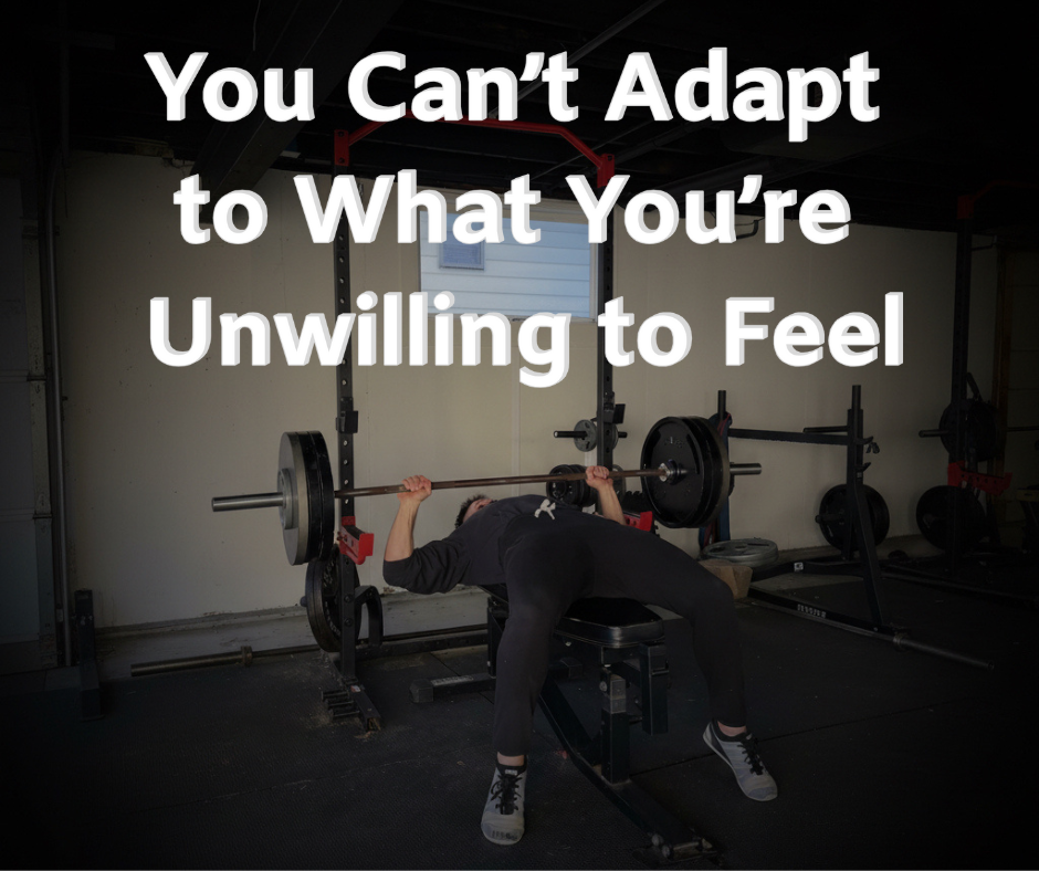 You Can’t Adapt to What You’re Unwilling to Feel