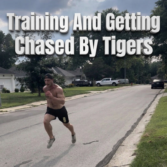 Training And Getting Chased By Tigers